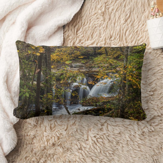 Dunloup Creek Falls | West Virginia Lumbarkudde (Filt)