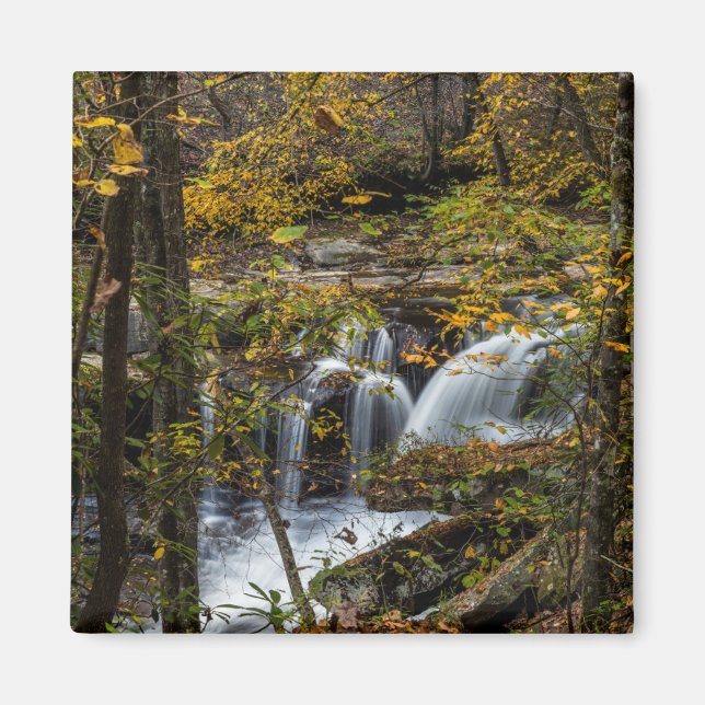 Dunloup Creek Falls | West Virginia Magnet (Framsidan)