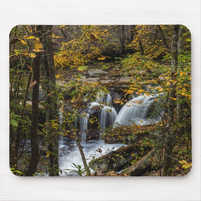 Dunloup Creek Falls | West Virginia Musmatta (Framsidan)