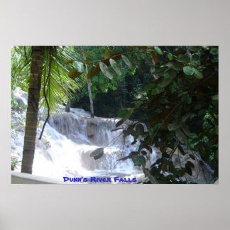 Dunns flod Falls Poster