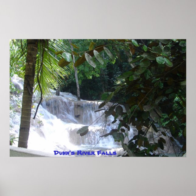 Dunns flod Falls Poster (Framsidan)
