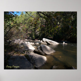 Dupont River i NC Poster