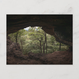 Durchapparmer Pfälzerwald Vykort