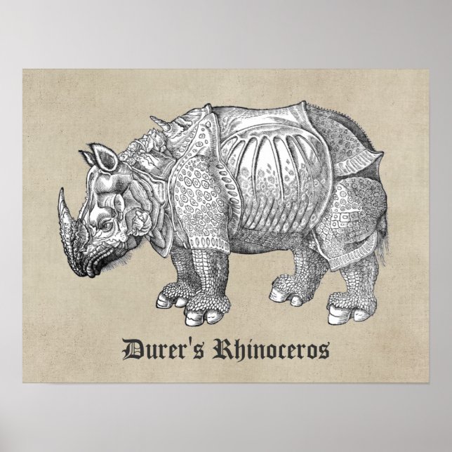 Durer Rhino Poster (Framsidan)