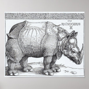 Dürers noshörning poster