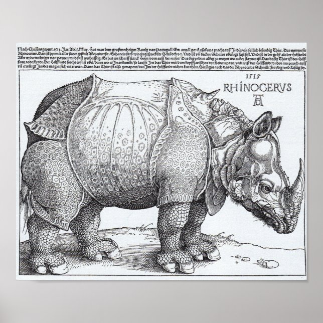 Dürer's Rhinoceros Poster (Framsidan)
