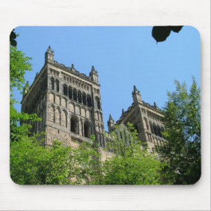 Durham domkyrka musmatta