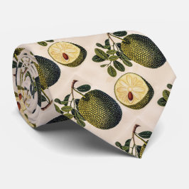 Durian Fruit and Foliage Slips