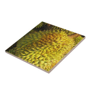 Durian Fruit Kakelplatta
