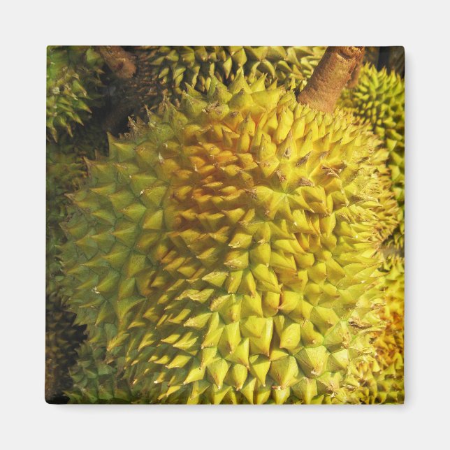 Durian Fruit Magnet (Framsidan)