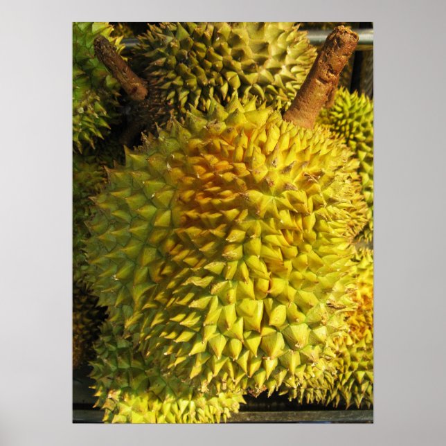 Durian Fruit Poster (Framsidan)