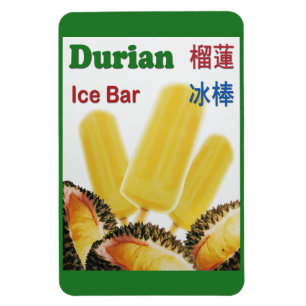 Durian Ice Pub Tropical Fruit Popsicle Magnet