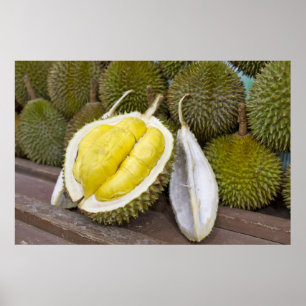 Durian Kung på Fruits i Singapore City Poster