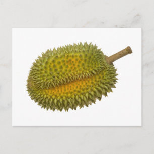 Durian Vykort