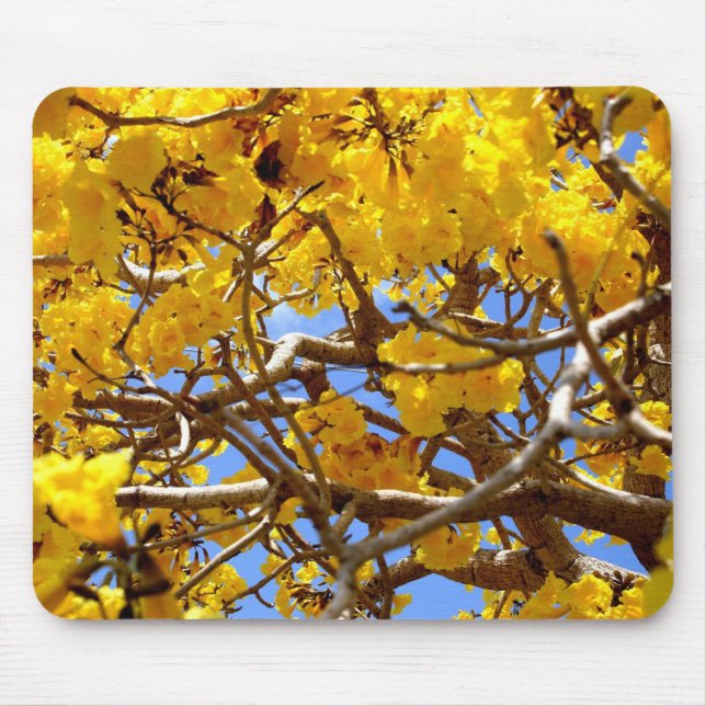 Dusch av guld musmatta (Framsidan)