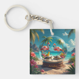 Dushi aruba strand glob med flamingos