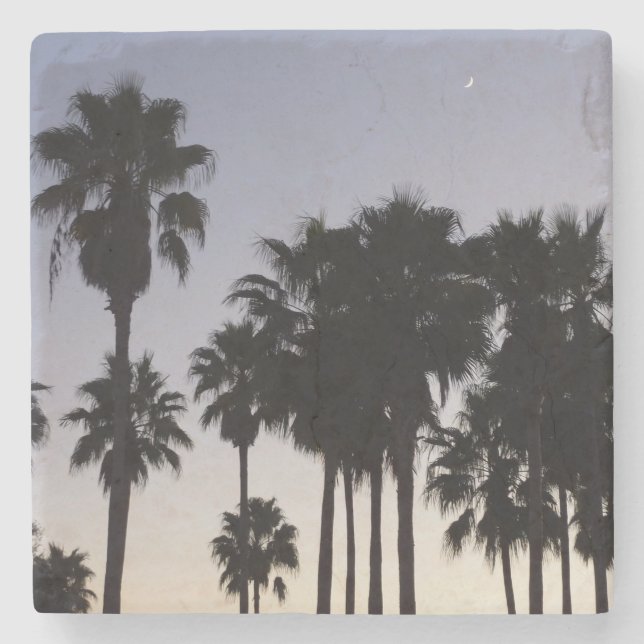 Dusk med den tropiska scenen Handflatan Träd Underlägg Sten (Framsidan)