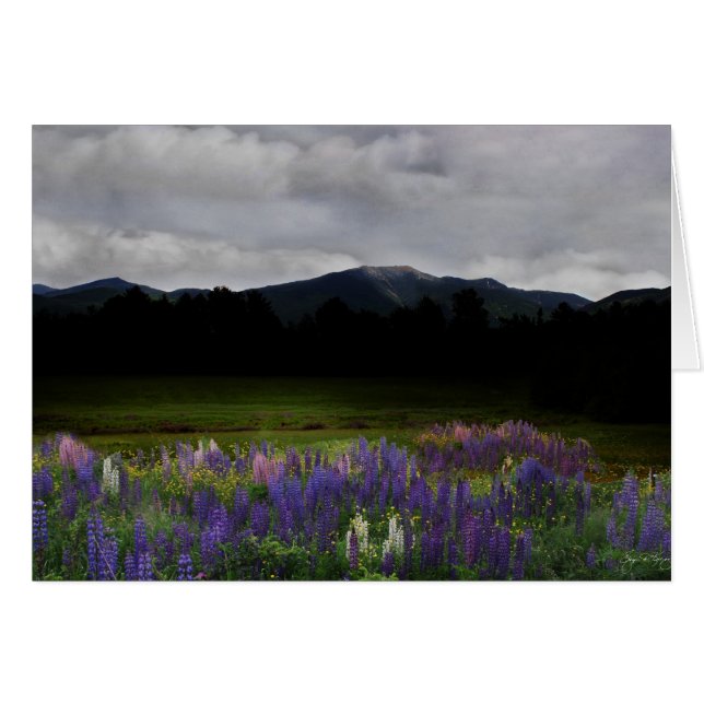 Dusk på Franconia Range Hälsningskort (Framsidan Horizontal)