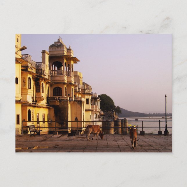 Dusk vid Ganghaur Ghat, Udaipur, Rajasthan, Indien Vykort (Framsida)