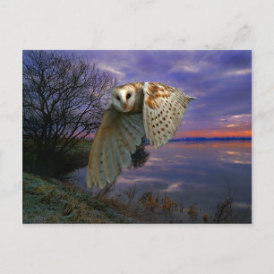 "Dusk" vykort