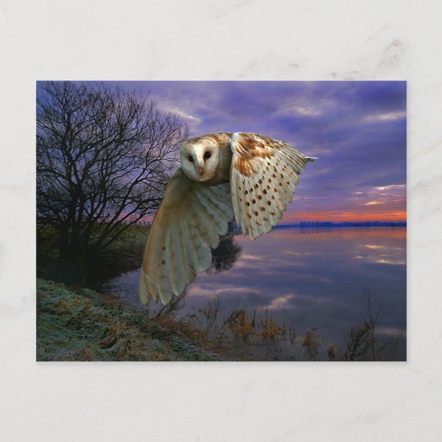 "Dusk" vykort (Framsida)