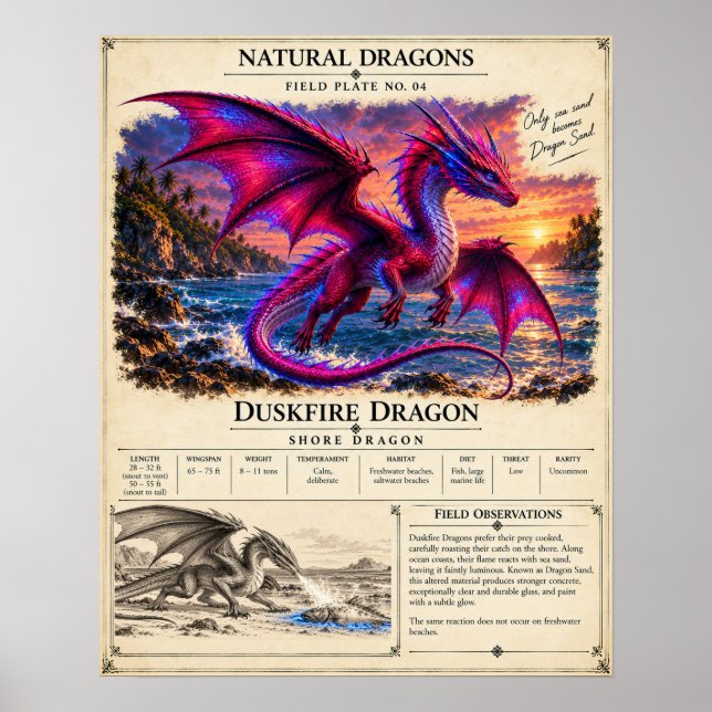 Duskfire Fältplatta Poster (Framsidan)