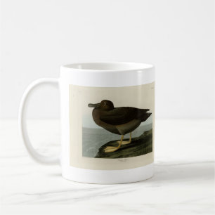 Dusky Albatross från Audubon's Birds of America Kaffemugg