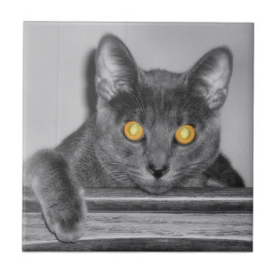 Dusky Guld Decorative Tile Kakelplatta