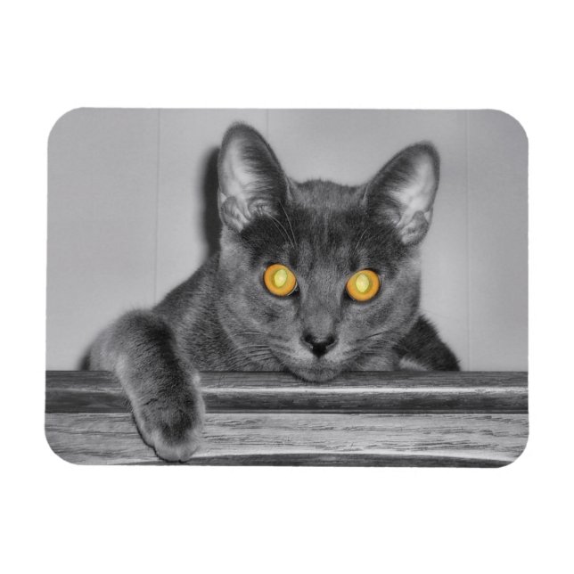 Dusky Guld Flexible Magnet (Horisontell)