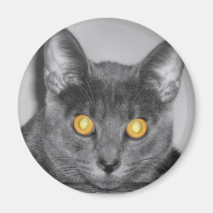 Dusky Guld Magnet