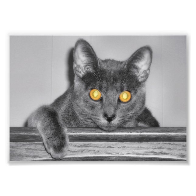 Dusky Guld Photo Print Fototryck (Framsidan)