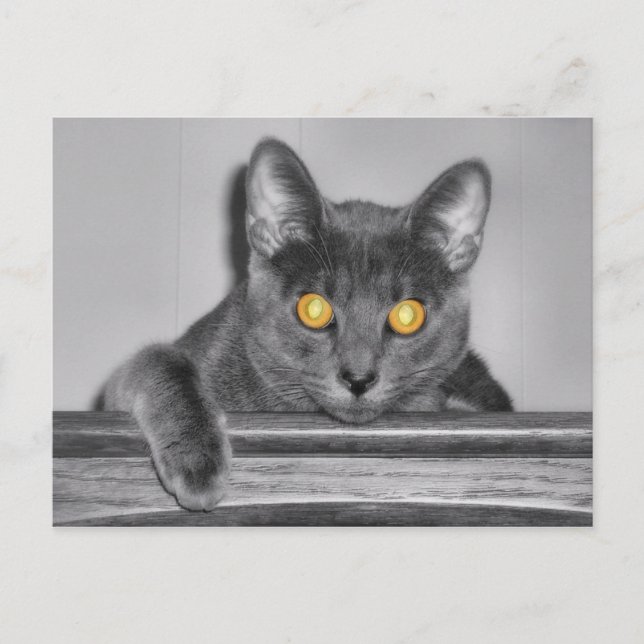 Dusky Guld vykort (Framsida)