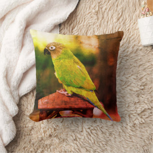 Dusky Headed Conure Parrot Abstrakt Kudde