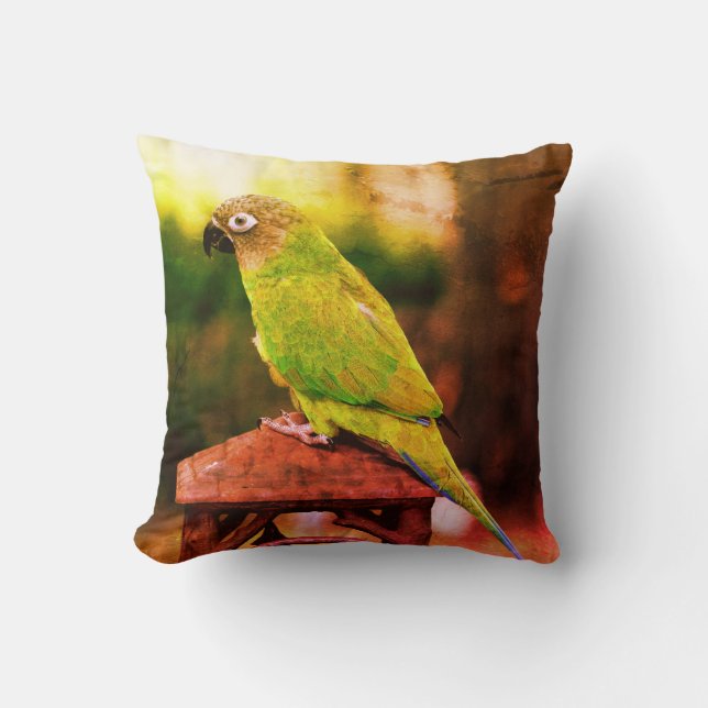 Dusky Headed Conure Parrot Abstrakt Kudde (Framsida)