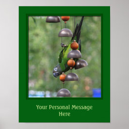 Dusky Headed Conure Parrot Animal Personlig Poster