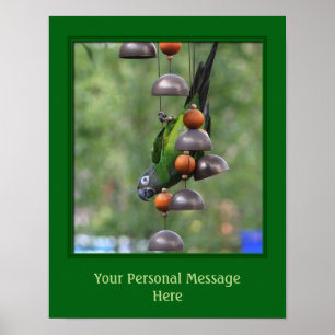 Dusky Headed Conure Parrot Animal Personlig Poster