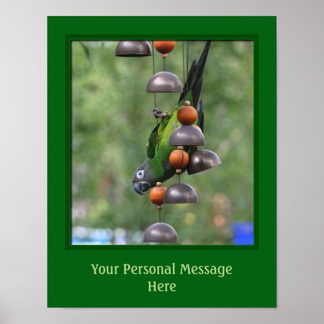Dusky Headed Conure Parrot Animal Personlig Poster (Framsidan)