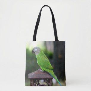 Dusky Headed Conure Parrot Tygkasse