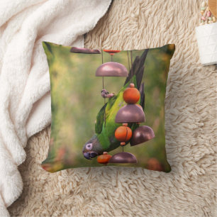 Dusky Headed Conure Parrot upp och ned Kudde