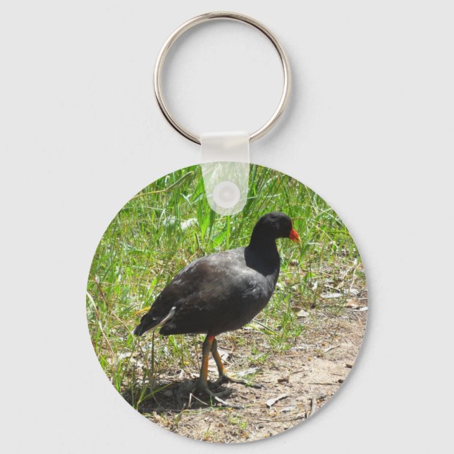 Dusky Moorhen Nyckelring (Framsida)