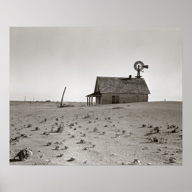 Dust Bowl Farm, 1938. Vintage Photo Poster (Framsidan)