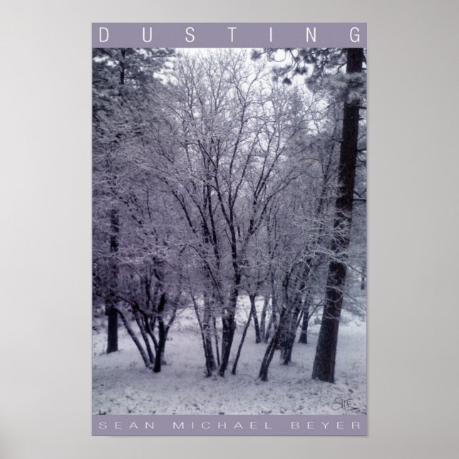 Dusting Poster (Framsidan)