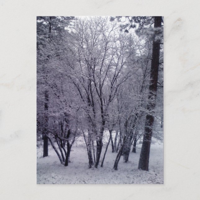 Dusting Vykort (Framsida)