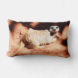 Dusty Discovery: Meerkat med Dirt on its Nose Lumbarkudde