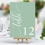 Dusty Mint Grönt Modern Calligraphy Bröllop Bordsnummer<br><div class="desc">Följ gästerna till deras platser med de här chic elegant dammiga bordsnumren i grönt bröllop. De här bordsnumren har en minimalistisk design med modern kalligrafi och ger dig en smula sofistikering till din bröllopsmottagning. Den mjuka bakgrunden och den rena typografin i eleganten säkerställer att den är enkel att läsa samtidigt...</div>