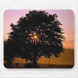 Dusty Sunset Musmatta