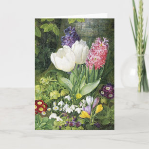 Dutch Bulb Vår blommor Kort