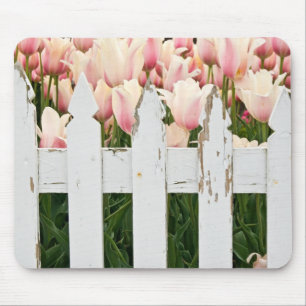 Dutch Garden Musmatta