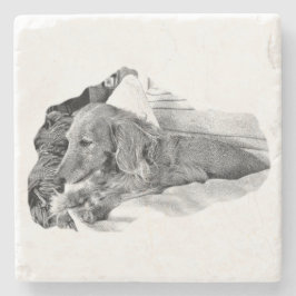 Dutch Hound Resting – Graphic Coaster Stenunderlägg
