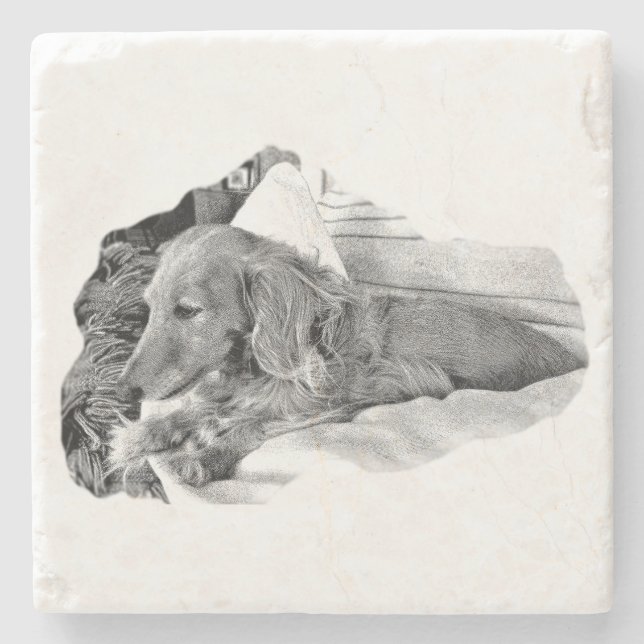 Dutch Hound Resting –  Graphic Coaster Stenunderlägg (Framsidan)